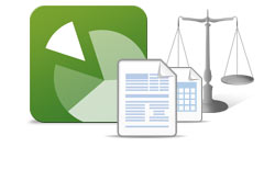 Collaborate with our professional accounting software