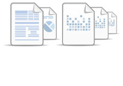 Professional accounting software allowing flexible document creation