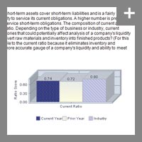 Detailed Ratio Analysis