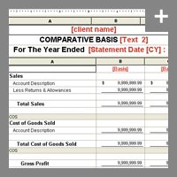 Trial Balance CS financial statement editor