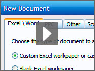 Custom Excel/Word Workpapers