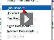 Trial Balance CS Integration
