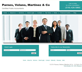 Team (Teal) website template