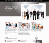 Graphical (Brown) website template